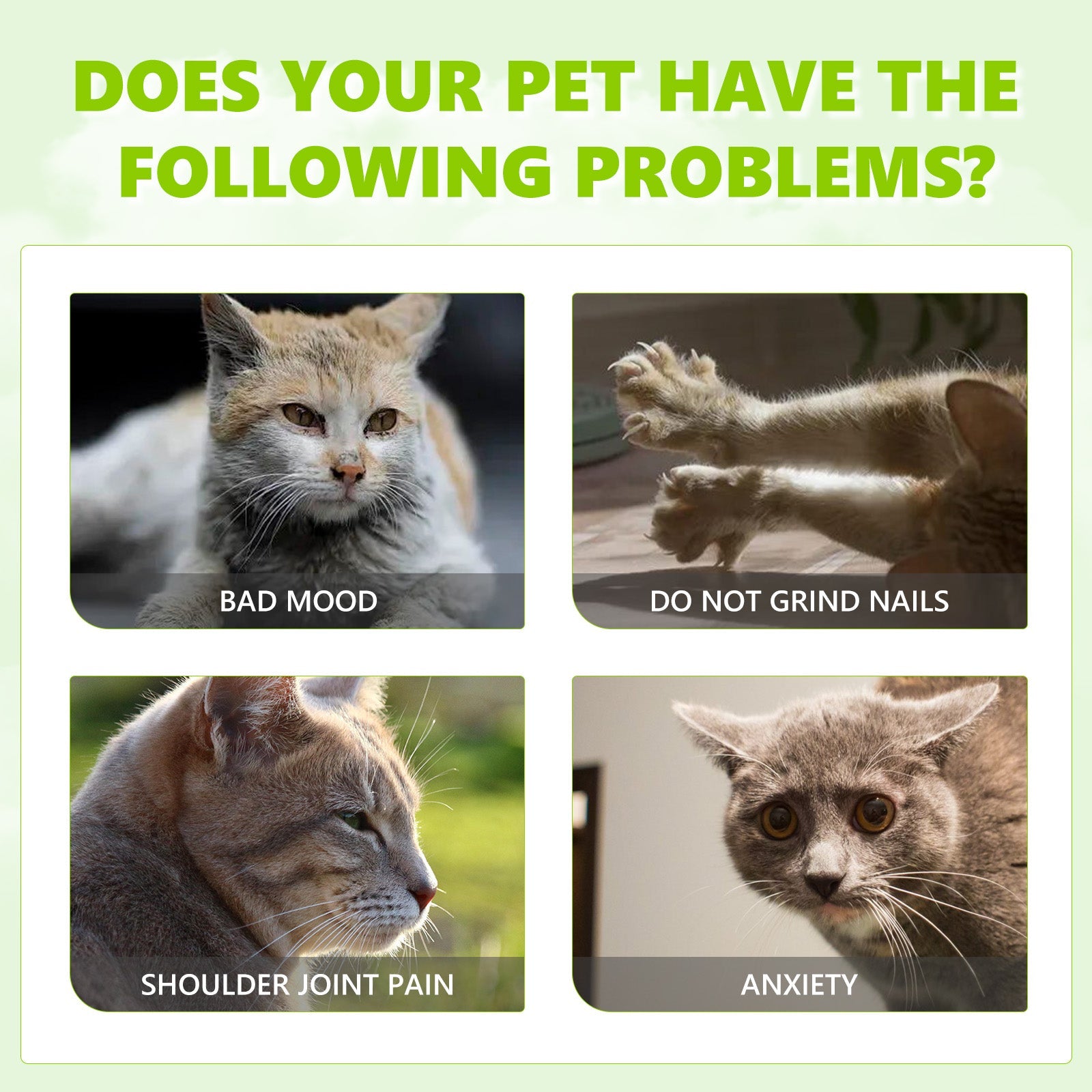 Catnip Spray, Relieve Cat Anxiety And Enhance Pet Vitality Health Care Spray