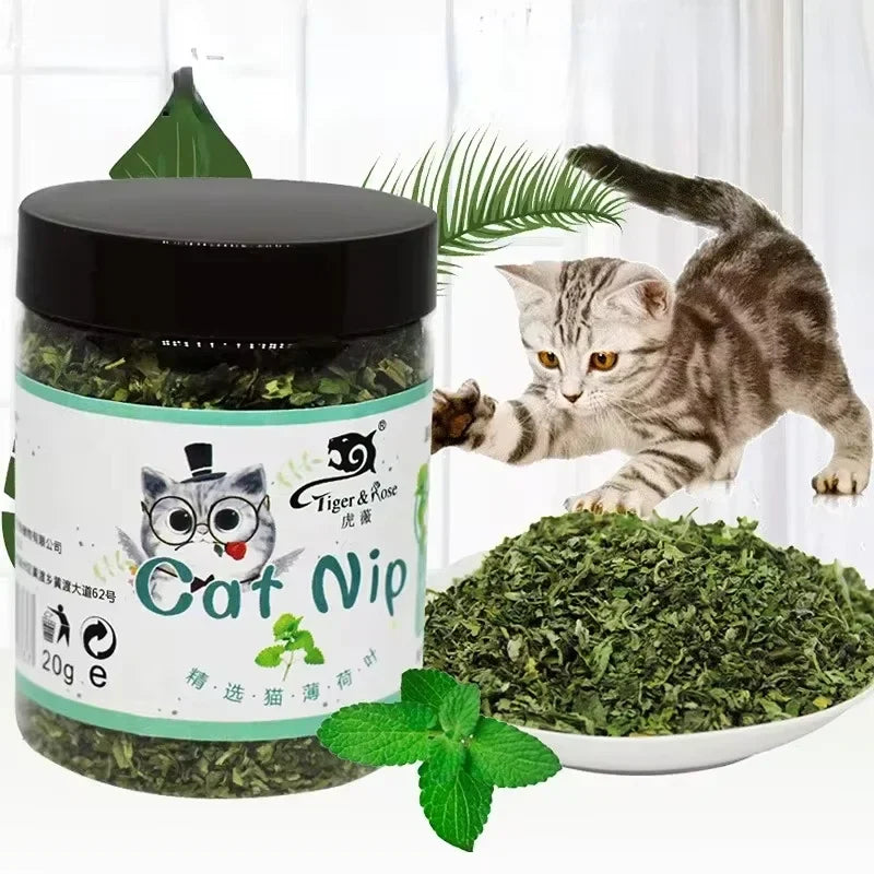 Organic Catnip Powder & Mint Blend for Cats – 100% Natural Catnip Interactive Cat Toy Supplement for Dental Health and Stress Relief